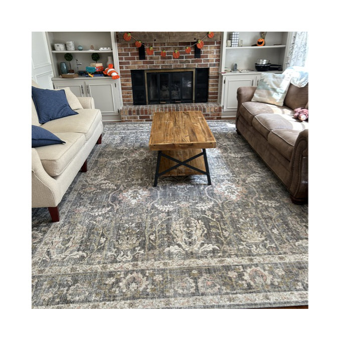 Chris Loves Julia x Loloi Rosemarie Oriental Sage Blush Area Rug